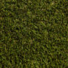 Summer Premium 40 - Image 3