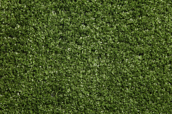 Eco Green - Image 3
